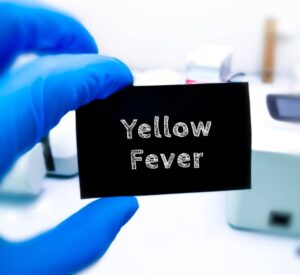 Yellow fever